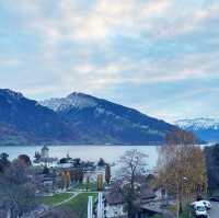 Alps Scenic Train