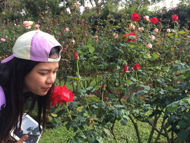 พระตำหนักภูพิงคราชนิเวศน์ 🌹🌹