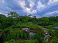 Haven for Bird & Nature Enthusiast 