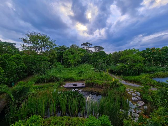 Haven for Bird & Nature Enthusiast 