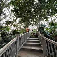 Nature in the park to fascinate yourself