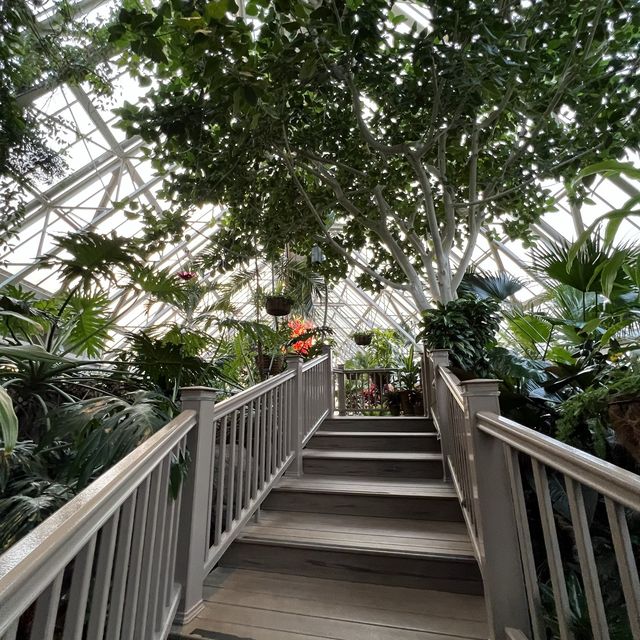 Nature in the park to fascinate yourself