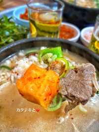 【韓国旅行】釜山と言えば”デジクッパ🐷”‼️人気観光地『影島』の地元人気店‼️