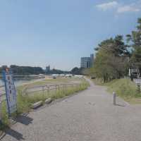 東岡崎駅〜岡崎城「東海オンエアの景色」