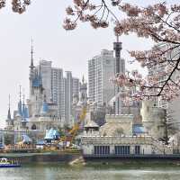 ชมพ็อดกดที่ Seokchon Lake 🌸🌸