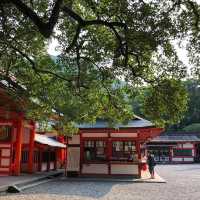 和歌山縣熊野速玉大社❤️世界文化遺產😗神明最初降臨之地