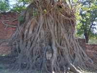 Explore Ayutthaya Historical Park