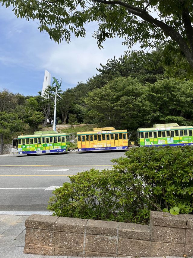 부산 산책하기 좋은 곳