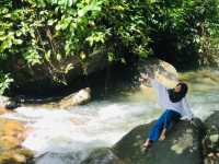 คาเฟ่ต้นไม้ WATER TOOM TOOM