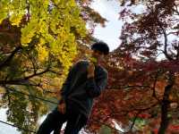 รีวิวเที่ยวเมืองโอคะซะกิ (Okazaki) 3 ฤดู