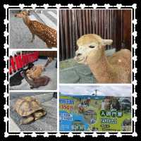 宜蘭動物農場🐕🦌🐂🐐🐑🐫