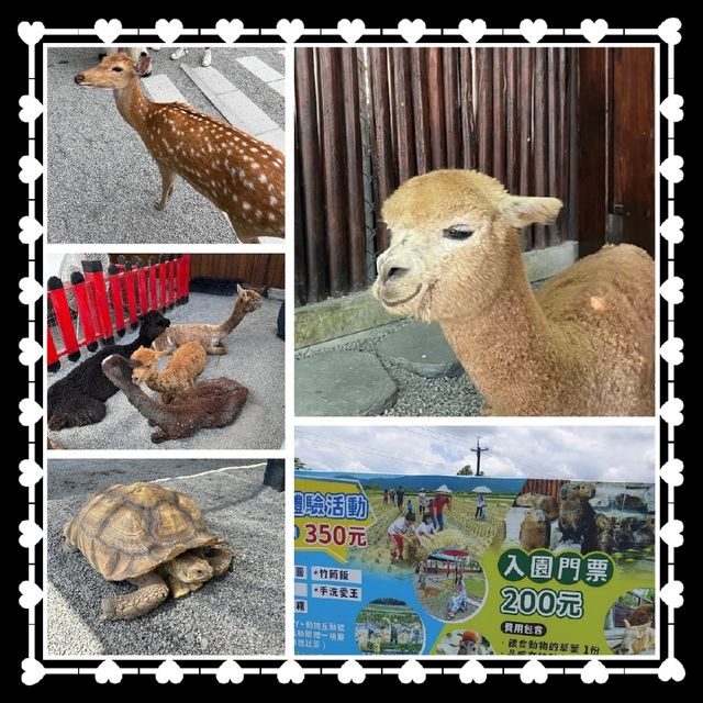 宜蘭動物農場🐕🦌🐂🐐🐑🐫