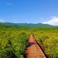 #สะพานแดง ป่าชายเลนบ้านสลักเพชร