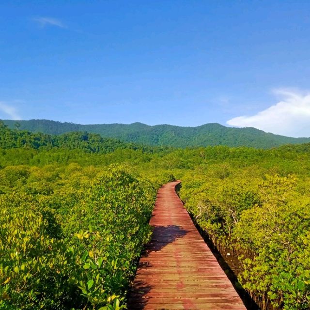 #สะพานแดง ป่าชายเลนบ้านสลักเพชร