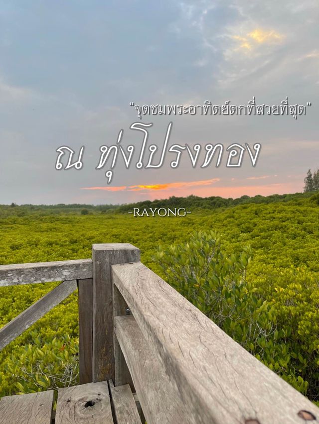 ไปชมพระอาทิตย์ตกที่ทุ่งโปรงทองกัน🌥️