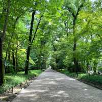 【京都】みたらし団子発祥の世界遺産