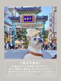 【横浜】わんこと行けるスポット6選🎡
