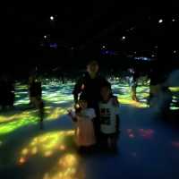 可置身於水中參觀的美術館| 豐洲teamLab Planets