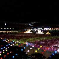 부산 삼광사, 웅장한 연등축제의 현장