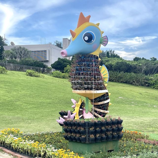 沖繩海洋博公園-十多個景點玩足全日