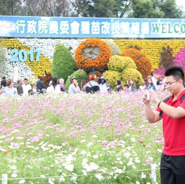 Sea of Flowers in Xinshe