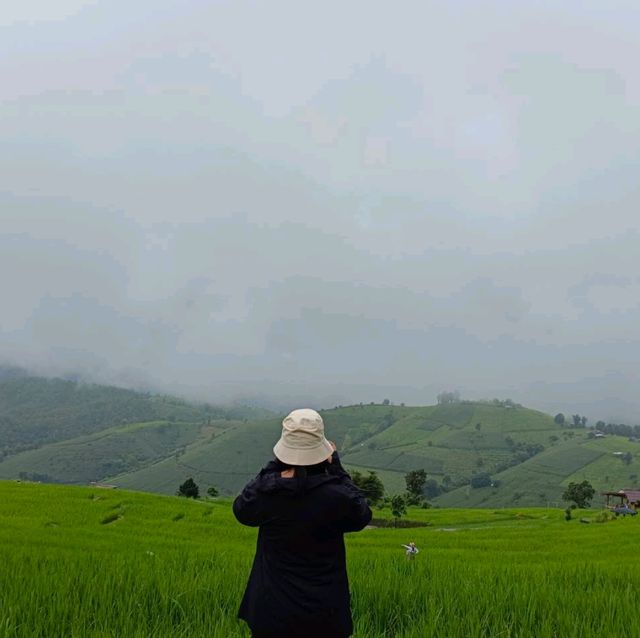 Breathtaking sight Rice Terrece 