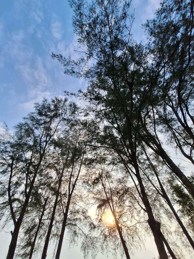 🏃‍♂️ Morning Walks @ Robina Ecopark