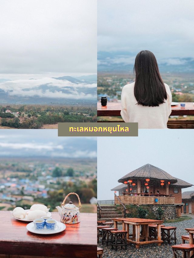 🧡 ทะเลหมอกหยุนไหล 