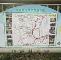 探索神秘的瑪陵坑⛩️基隆的寶藏地！🌳⛰️🌿 