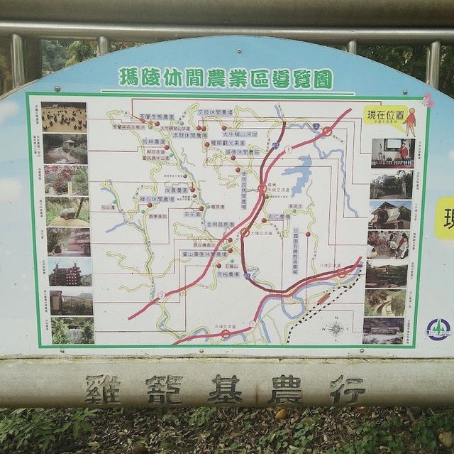 探索神秘的瑪陵坑⛩️基隆的寶藏地！🌳⛰️🌿 