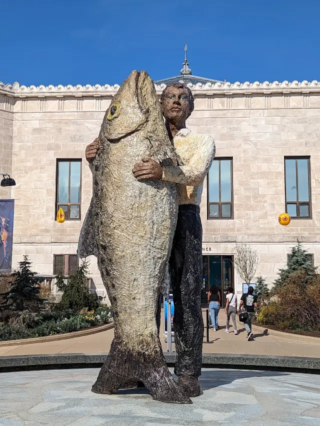 Shedd Aquarium 🐋✨