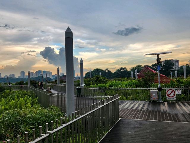 Run, Chill, & Marvel at Jurong Lake Gardens