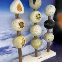 嘉義大埔美新觀光工廠～丸聚星球🌍