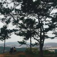 Camping in Da Lat - Close to Nature