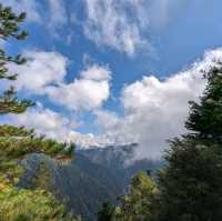 大雪山國家森林遊樂區的美好享受