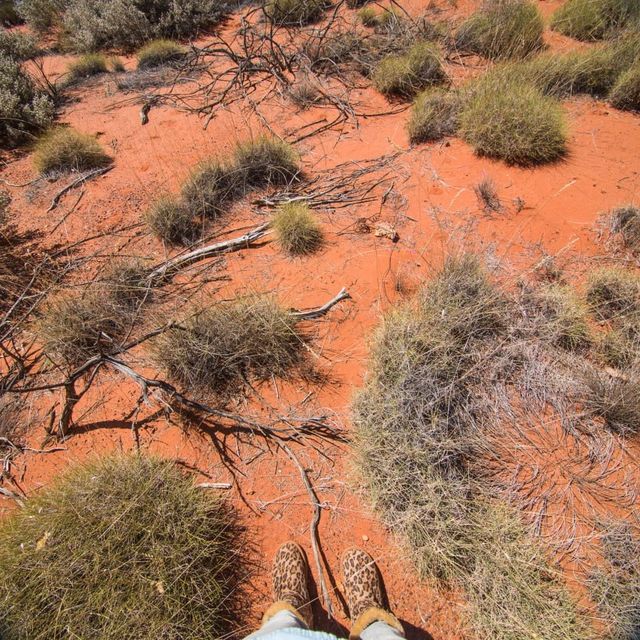 Sand Dunes, Rocks, Plants at Uluṟu Aussie