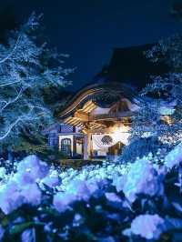 【死ぬまでに行きたい絶景】秋田県にあるあじさい寺　雲昌寺