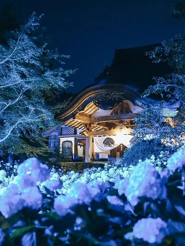 【死ぬまでに行きたい絶景】秋田県にあるあじさい寺　雲昌寺