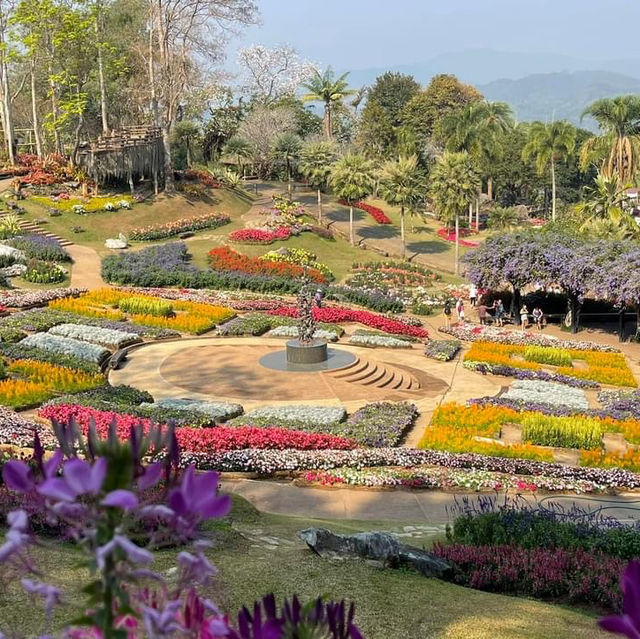 สวนแม่ฟ้าหลวง @ดอยตุง