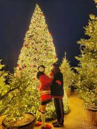 크리스마스 경주 트리맛집으로 핫했던 라한셀렉트경주🎄