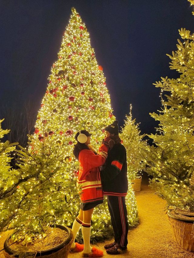 크리스마스 경주 트리맛집으로 핫했던 라한셀렉트경주🎄