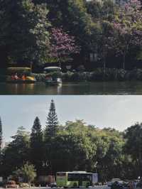湖光山色，中山龍山公園的自然之旅