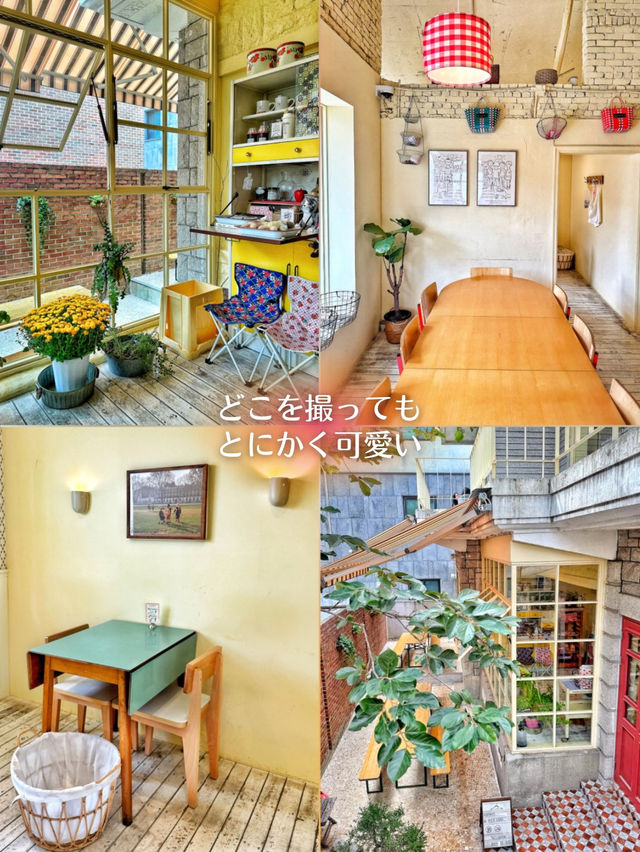 【韓国旅行】延南洞💓早く行かないと売り切れる⁉️可愛い一軒家で可愛いプリン🍮