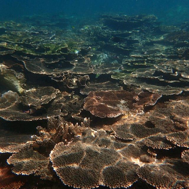 Iboih, Aceh snorkeling.. moment to joy