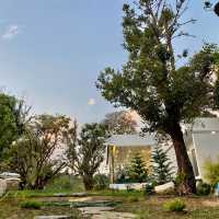 Taan Forest Chiangrai ค่าเฟ่สไตล์ยุโรปผสมผสานสไตล์