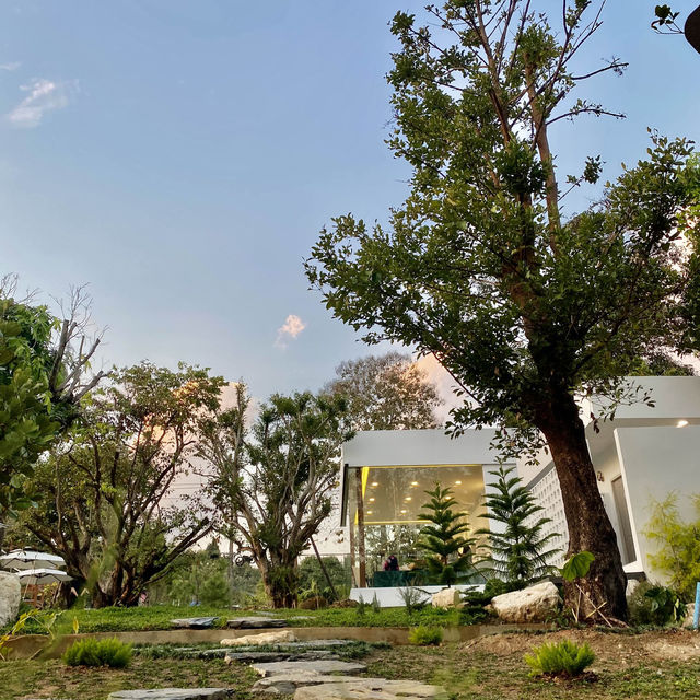 Taan Forest Chiangrai ค่าเฟ่สไตล์ยุโรปผสมผสานสไตล์