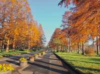 The largest park in Tokyo