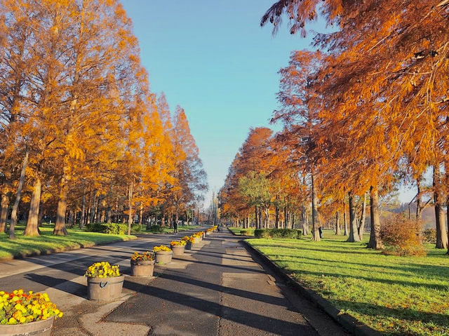 The largest park in Tokyo