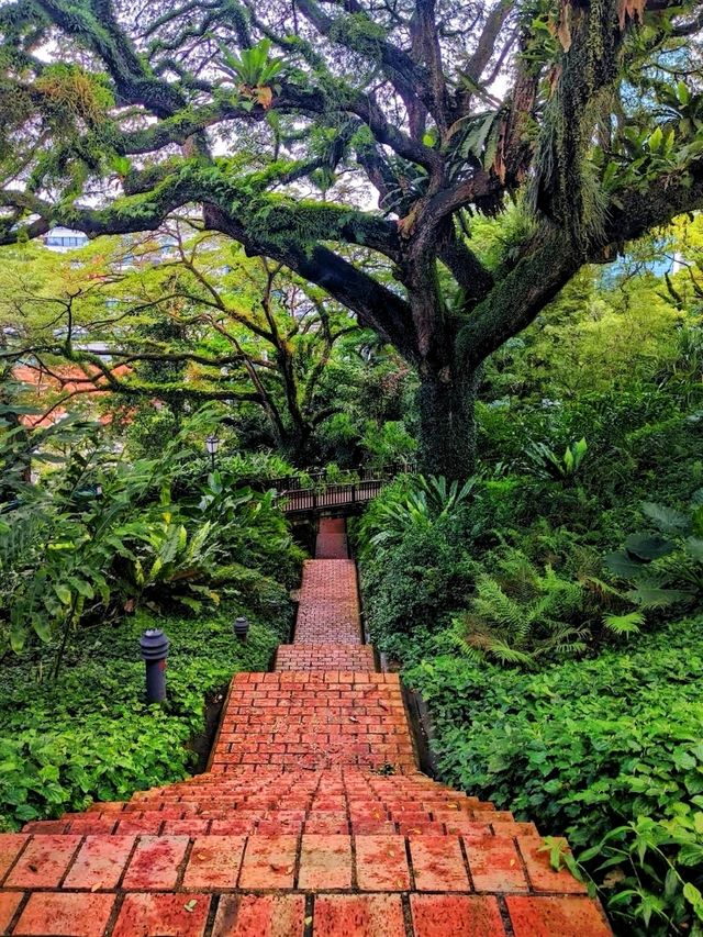 A beautiful & historical park in Singapore