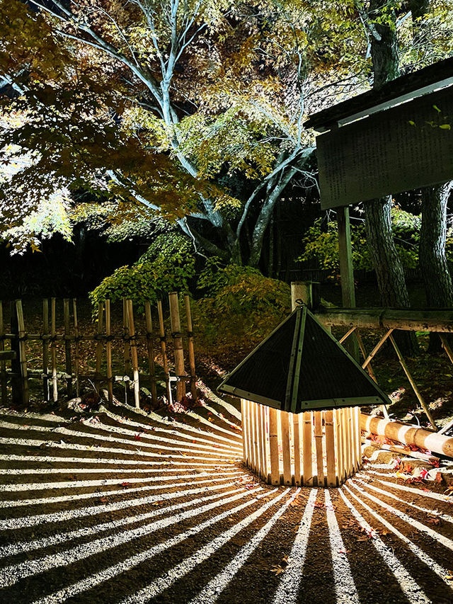 京都景點｜嵐山寶嚴院之夜楓